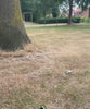 De little monkeez bestuurbare auto die op hoge snelheid door een diepe modderplas of gras rijdt.